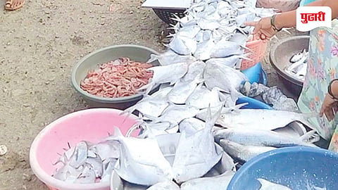 Revdanda Fish Market