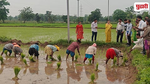 Chindhimal Paddy Crop Inspection