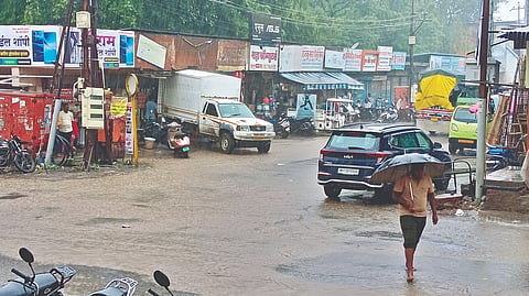 Pandharpur Rain Update