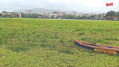 Panvel lake news