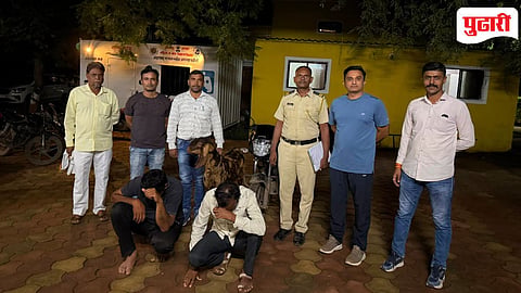 Chhatrapati Sambhajinagar crime: जनावरे चोरीचा पर्दाफाश; पिशोर पोलिसांची धडक कारवाई