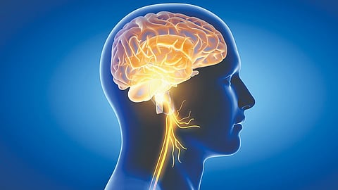 Healthy Brain |