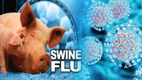 Kalyan Dombivli Swine Flu - कल्याण-डोंबिवलीतील स्वाईन फ्लूचे दोन्ही रुग्ण धोक्याबाहेर