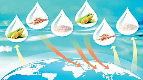 Vertual Water Trade |
