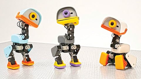 Duck-Like AI Robot |
