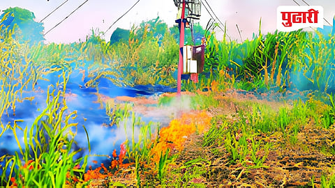 Jalna farmer crop loss