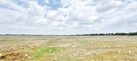 Solapur Water Crisis