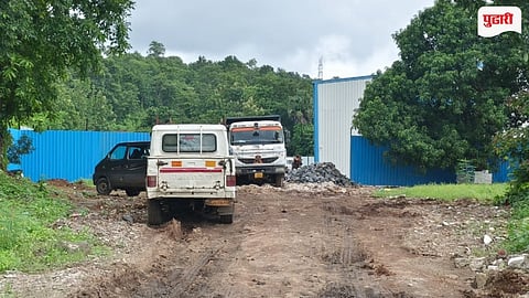Illegal Road in Forest