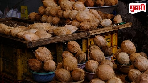 Coconut