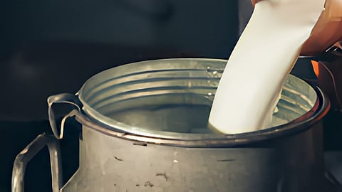 milk price