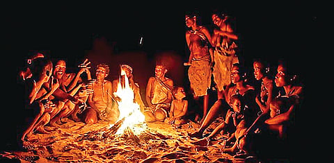 Human Language Evolution |