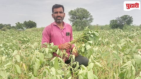 Purna Raindrops : पूर्णा तालूक्यात पावसाचा खंड; सोयाबीन, मूग, उडीद पिकं करपली!