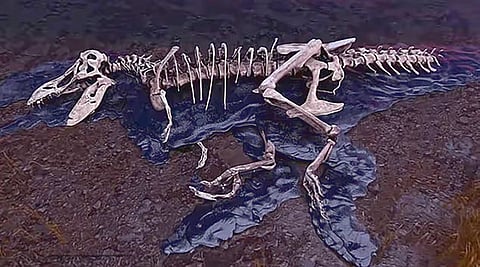 Dinosaur Death Mystery |