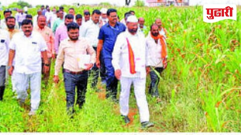 Sillod rainfall shortage