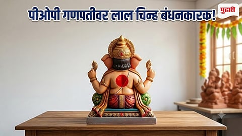 POP Ganesh Idol Rule