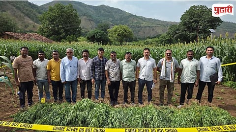 Dhadgaon Cannabis Seizure