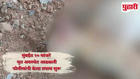 20 Cats Dead In Mumbai