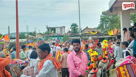Sarkhani Village Bail Pola Celebration