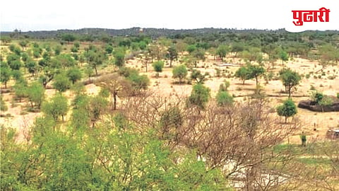 Maharashtra development projects