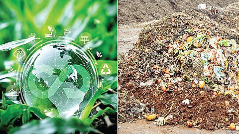 Nirmalya Recycling |