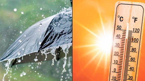 El Nino Impact |