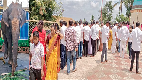 नांदणी : येथे माधुरी हत्तिणीला पाहण्यासाठी मोठी गर्दी झाली होती.