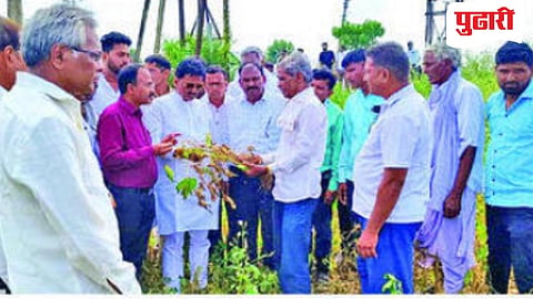 Parbhani crop damage