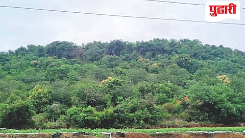Sanjeevani Bet Latur