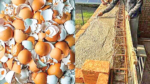 Eggshell Concrete |