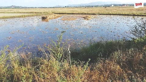 Raigad Industrial Land