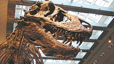 T. Rex Body Temperature |