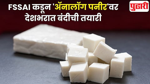 Analogue Paneer