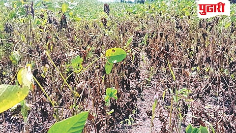 Parbhani rainfall shortage