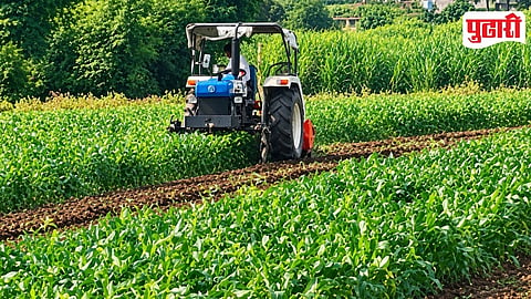 Purandar Soybean Crop Loss