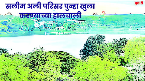 Salim Ali Lake