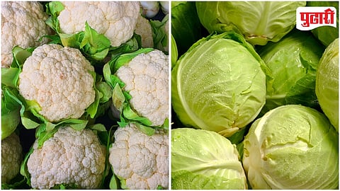 Cabbage Cauliflower