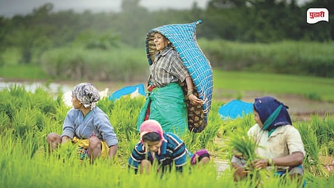 Women Farmer Certificate