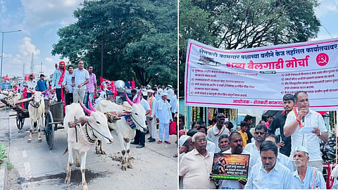 Kaij Tahsil Office Protest