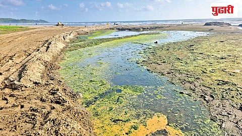 Morjim Beach Pollution