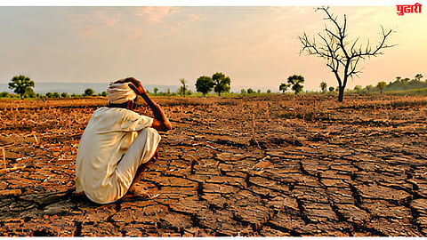 Ghansawangi Agriculture