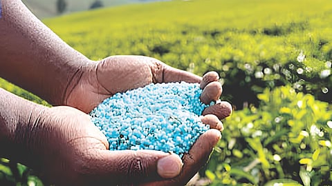 Fertilizer Sales