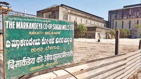 Markandeya Sugar Factory