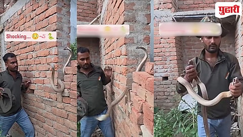 Snake Rescuer's Courage