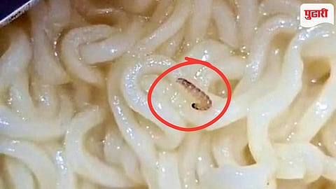 Kalyan Maggi worms
