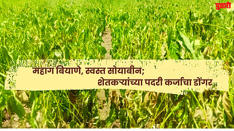 Latur News