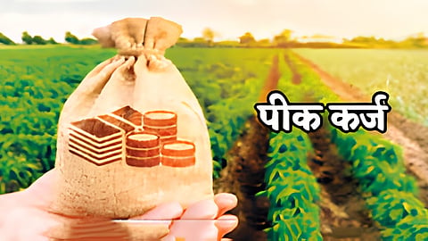 Crop Loan