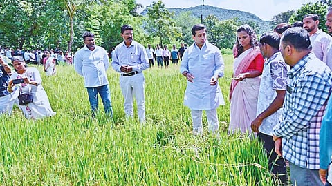 Nitesh Rane