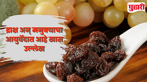 Grapes Raisins & Ayurveda