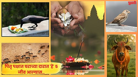 Pitru Paksha 2026