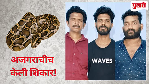 Python Cooking And Eating | घराजवळ आलेला अजगरच मारुन शिजवून खाल्ला; केरळमधील तीन मित्रांचे भयंकर कृत्य!